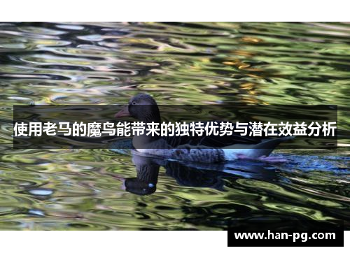 使用老马的魔鸟能带来的独特优势与潜在效益分析